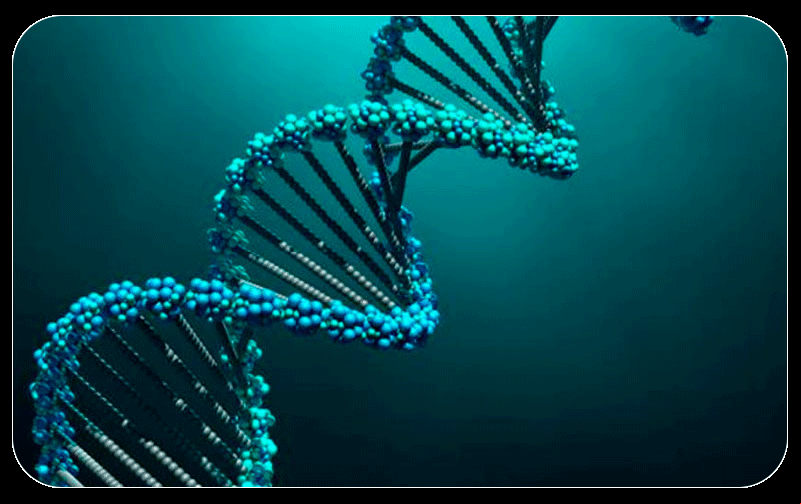 DNA
